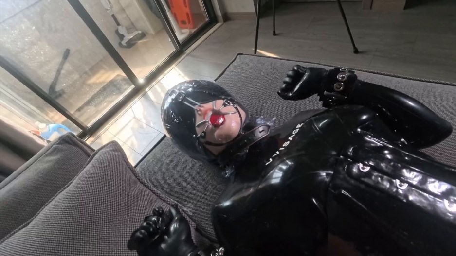 Head shell or body?